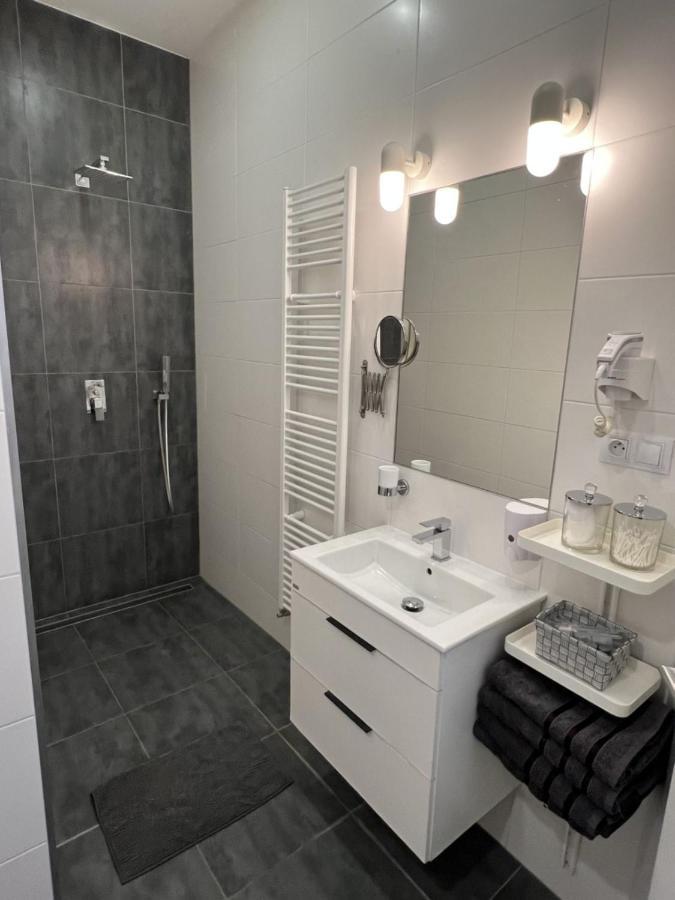 Flexihome Sk - Design City - Top Location Close City Centre - Big Squared コシツェ エクステリア 写真